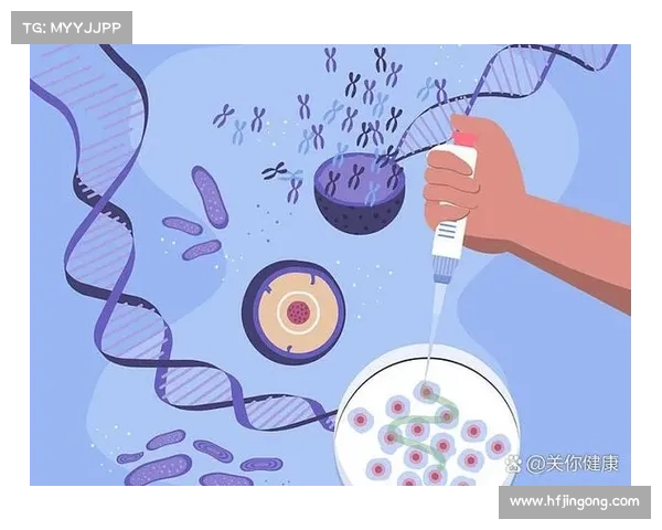 Dovetail在用户研究中的最佳应用技巧与整合工具解析 Dovetail在用户研究中的最佳应用技巧与整合工具解析