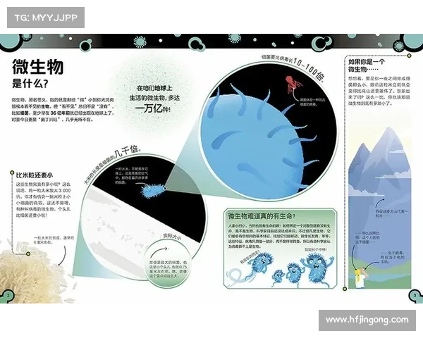 《魔狮迪露攻略：掌握8大技巧轻松战胜挑战》