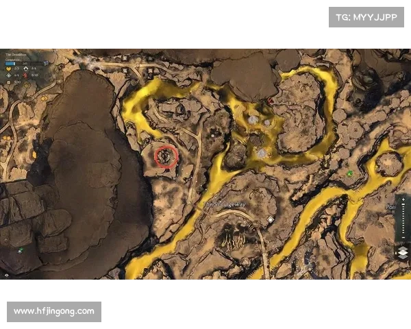 掌握狮鹫训练的奥秘与实用技巧提升你的驯兽能力